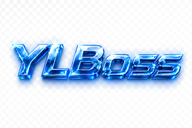 YLBoss